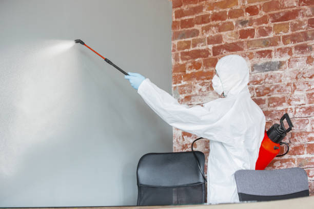 Best Environmental Consulting for Mold Prevention  in Whitehall, OH