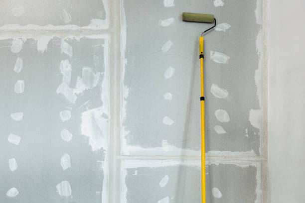 Professional Mold Removal in Whitehall, OH