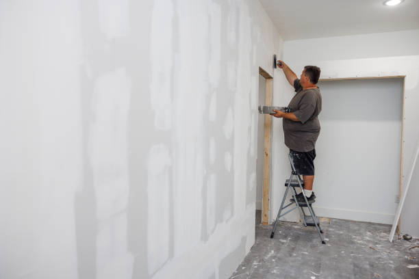 Best Black Mold Removal  in Whitehall, OH